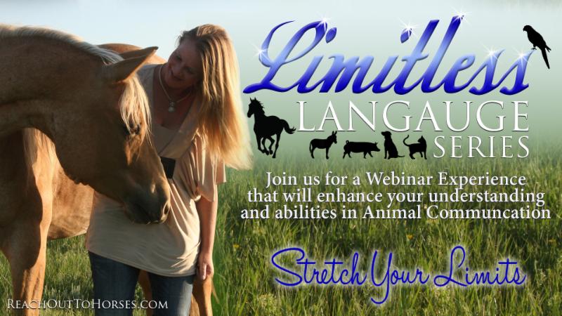 The Animal Communication - A Limitless Language Webinar Series
