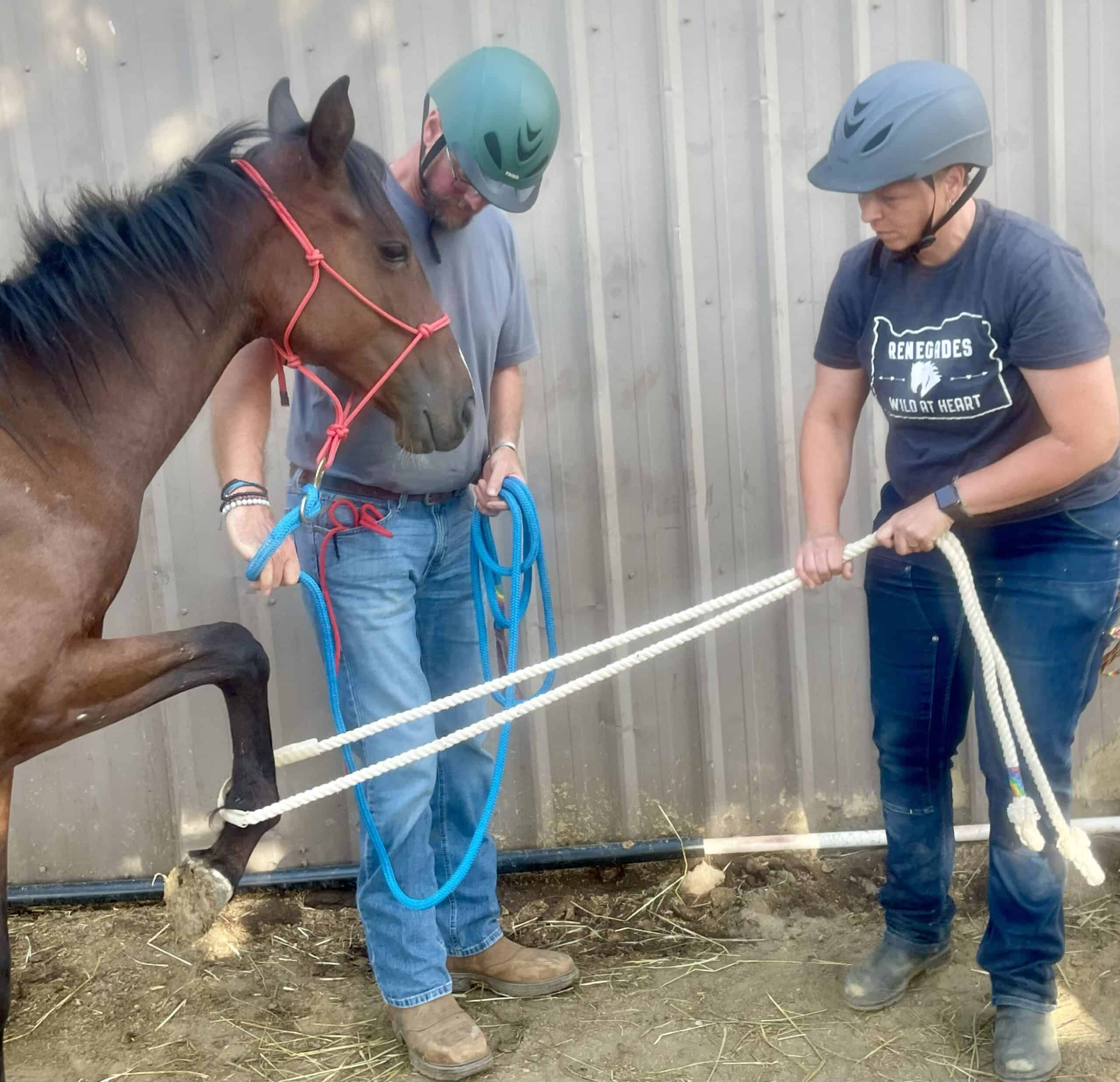 Equine Education Rope