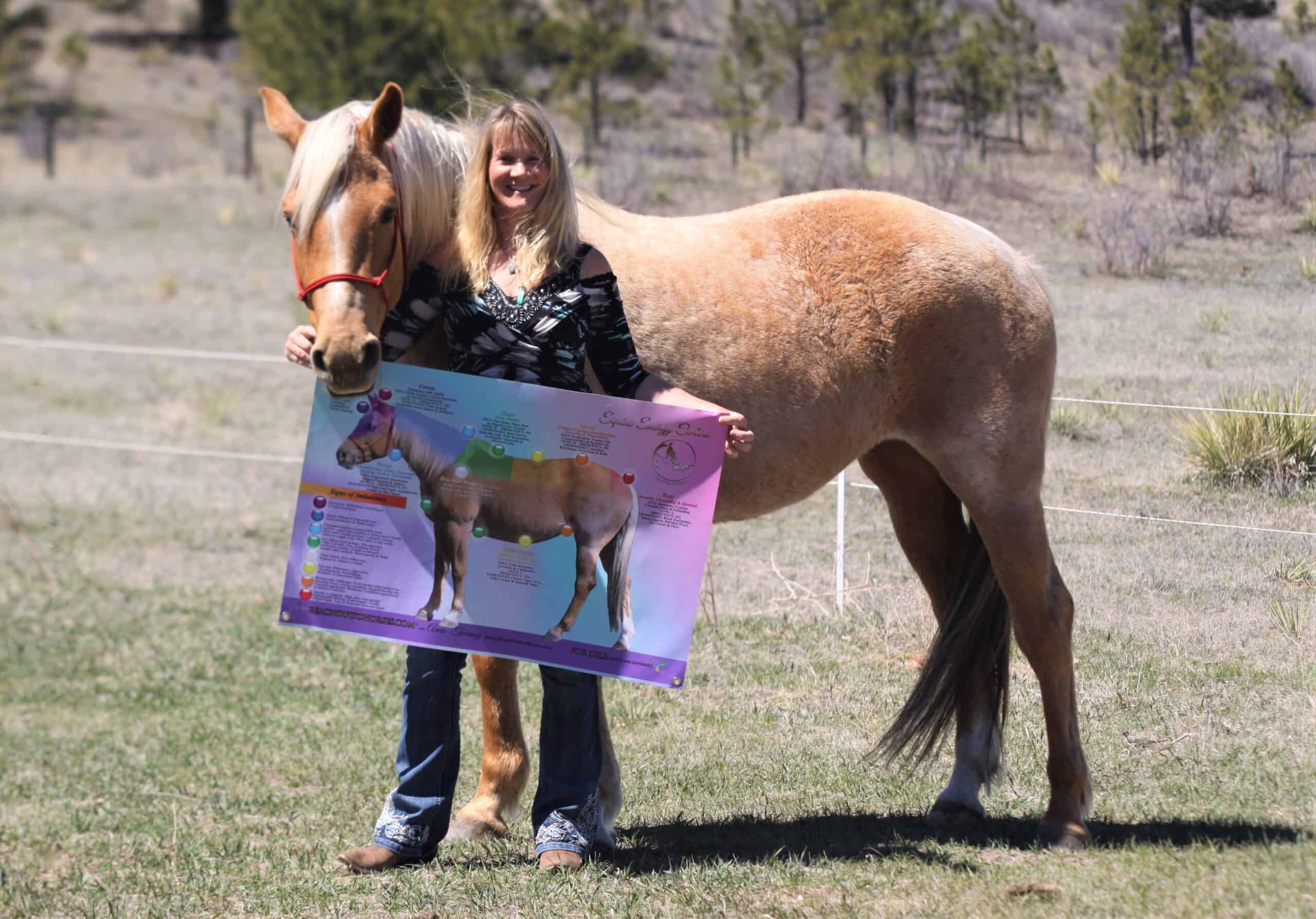 Equine Chakra Chart with Aria and Anna