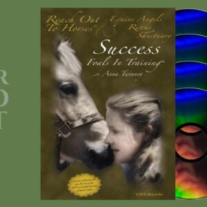 Foals in Training DVDs