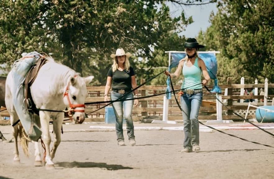 Using Long Lines in the Round Pen