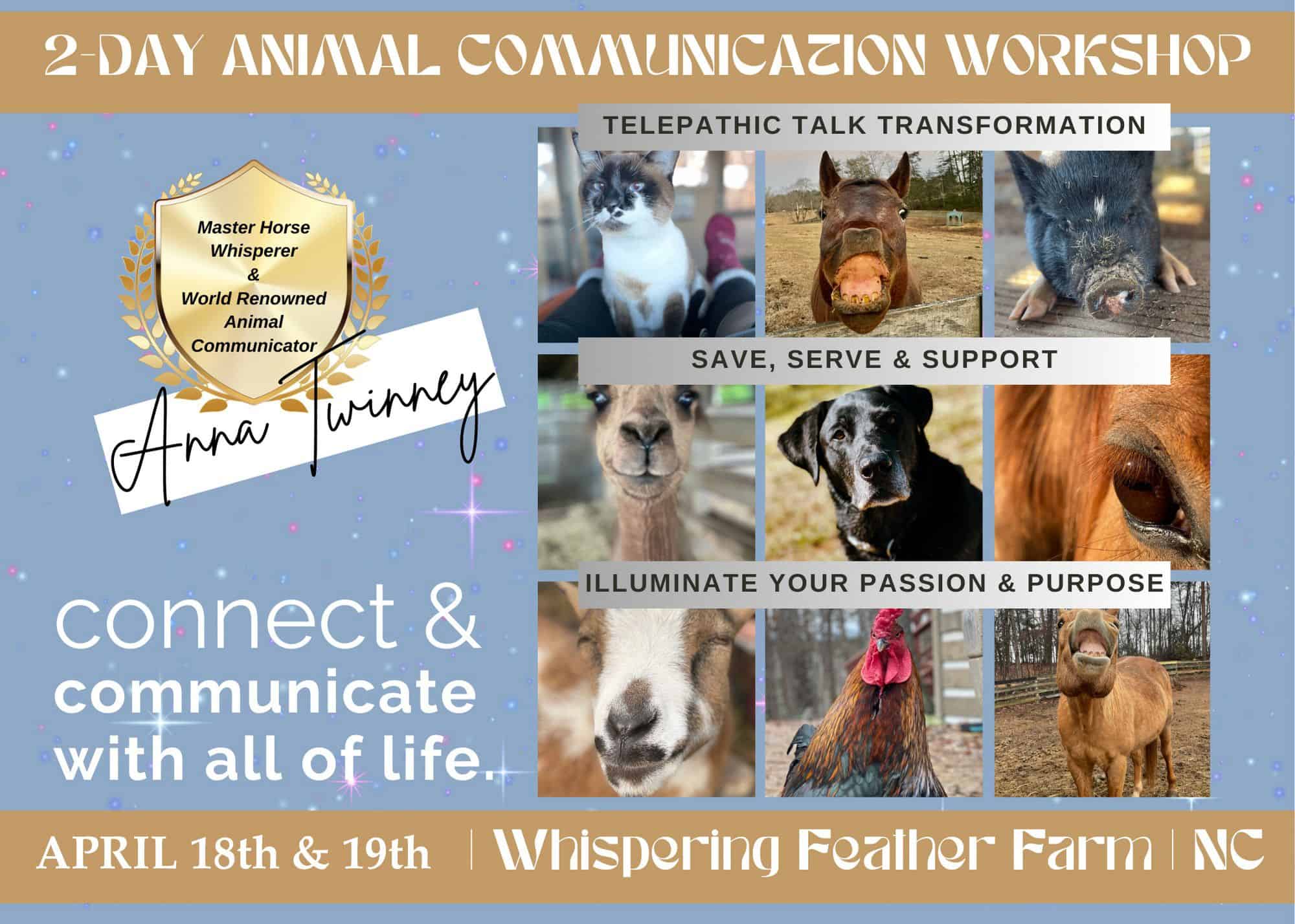 Animal Communication Workshop