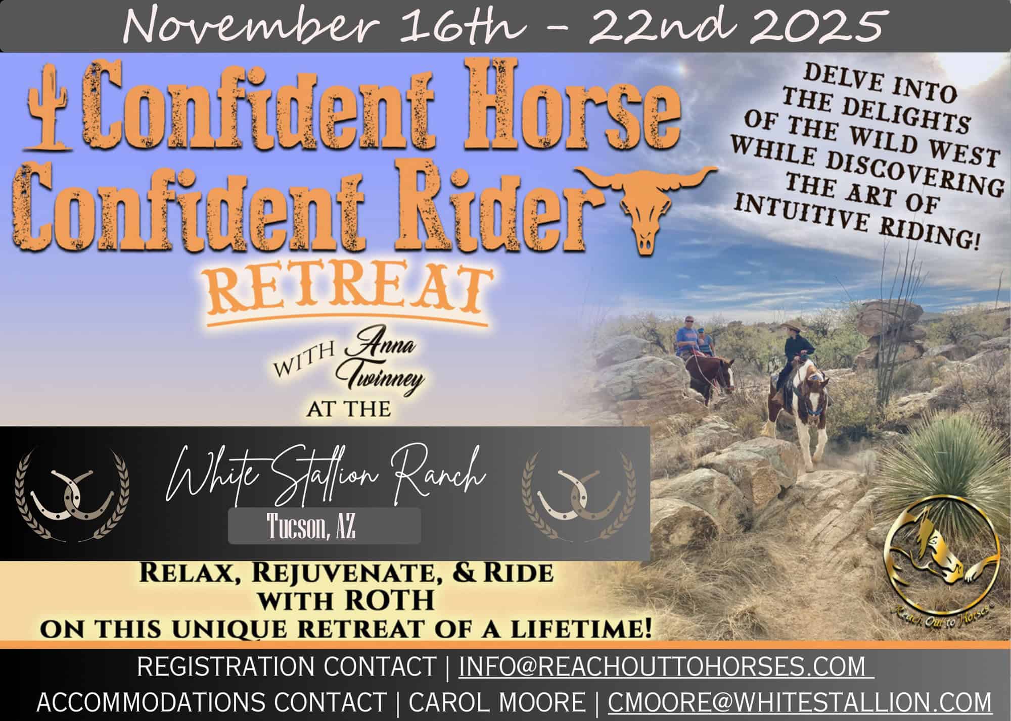 Confident Horse, Confident Rider