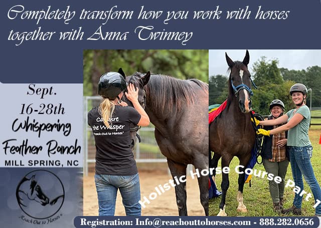 2025 Holistic Horsemanship Foundation Course