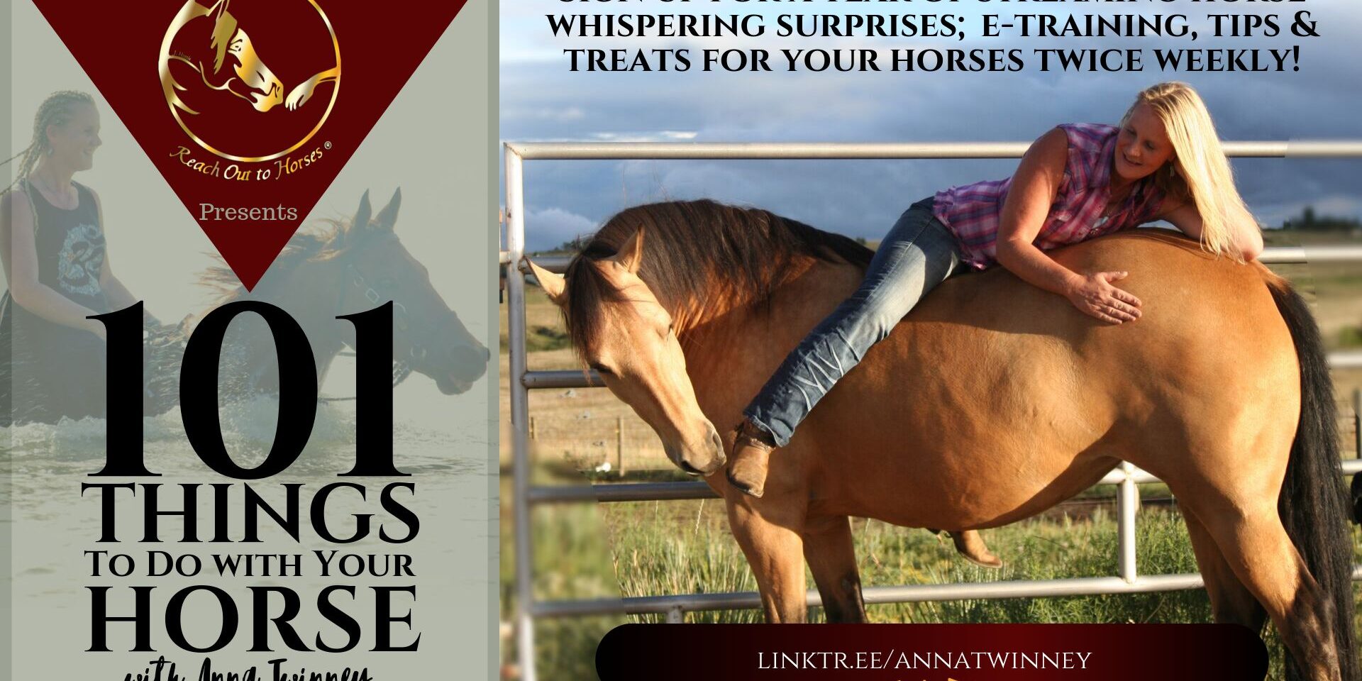 101 Things to do with your horse