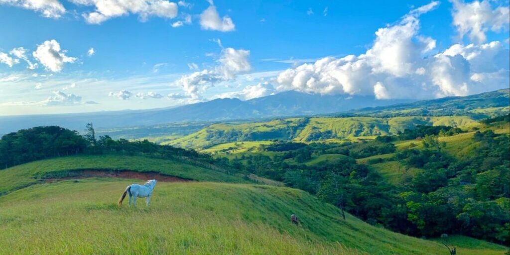 Costa Rica Life Coaching Retreat