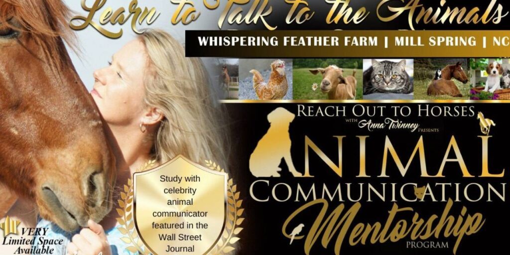 Animal Communication Masterclass